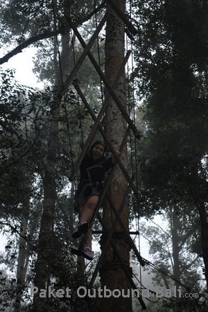 treetop adventure bali